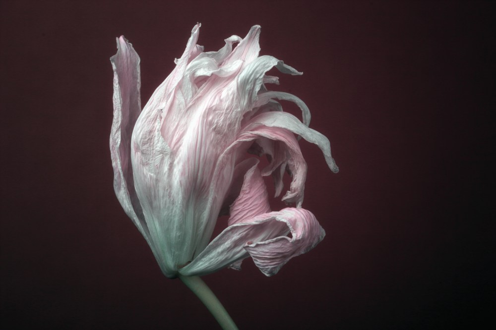 19.12.10_untitled_IMG_0909_DPP_Lily-Edit